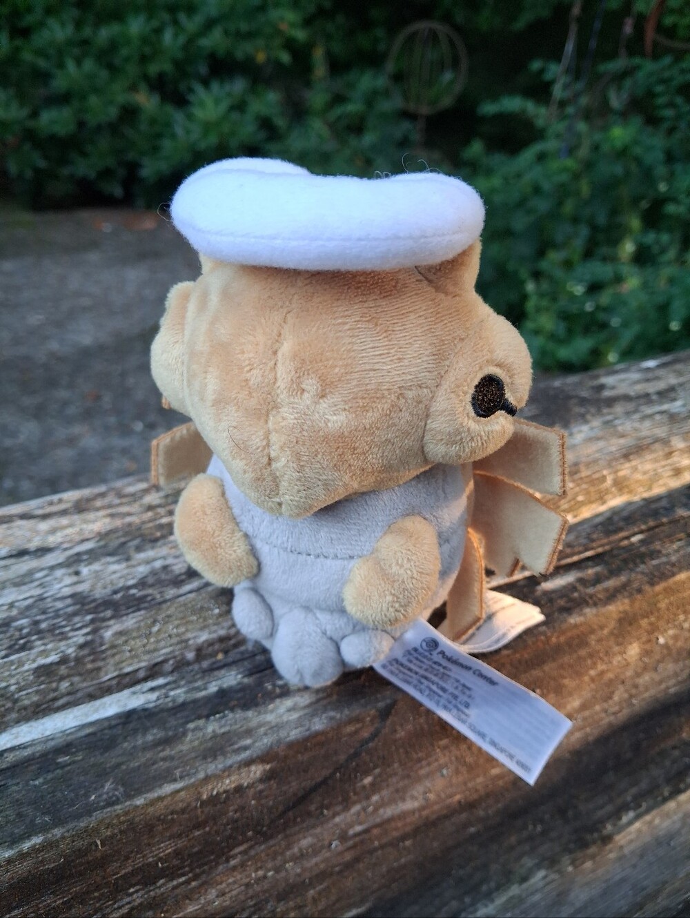 pokemon - Picture 2 of 5